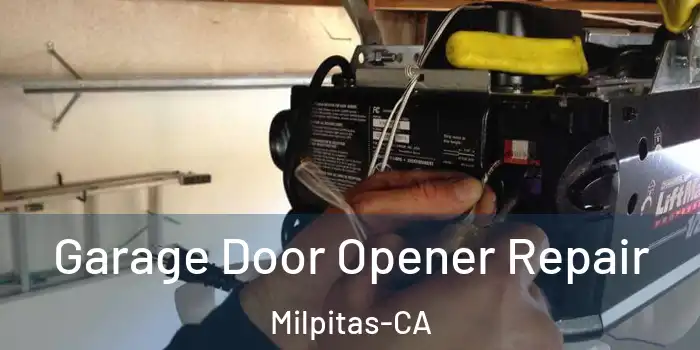 Garage Door Opener Repair Milpitas-CA