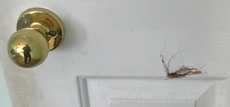 interior door hole repair Milpitas