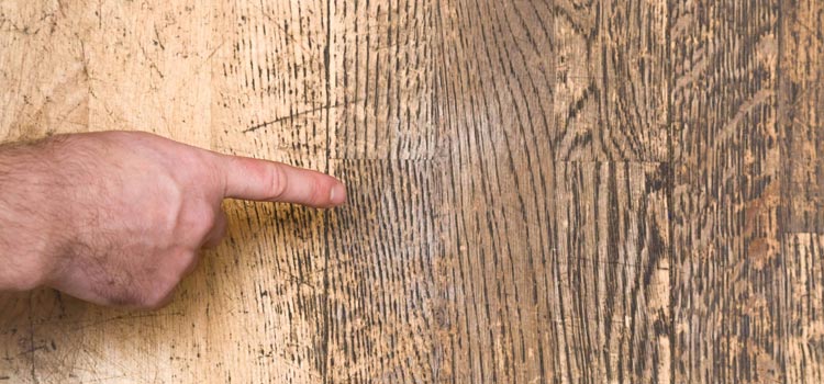 Wood Door Scratch Repair in Milpitas